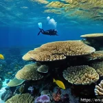 사모아 다이빙 및 스노클링 명소 - A vibrant underwater coral garden in Samoa, featuring healthy, colorful coral formations with a vari...