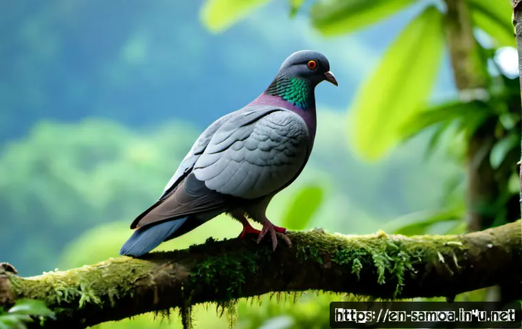 Planning a Responsible Wildlife Visit in Samoa: Access, Guides, Costs, and Safety Checks 3 사모아 야생 동물 보호구역 관련 이미지 1
